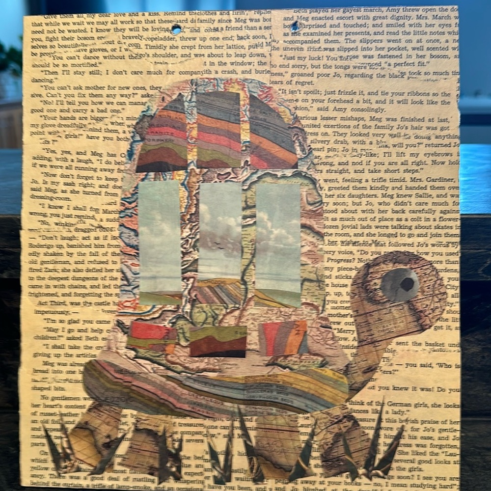 Original art, turtle